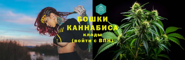 шишки Беломорск