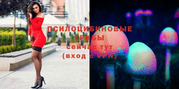 меф Богородск